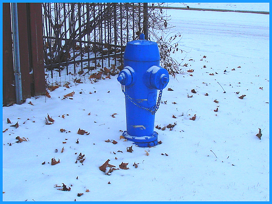 Borne à incendie dans le blanc / Blue hydrant in a white world -   Dans ma ville- hometown- 9 décembre 2008.