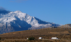 Mt. San Jacinto With Snow (2374)