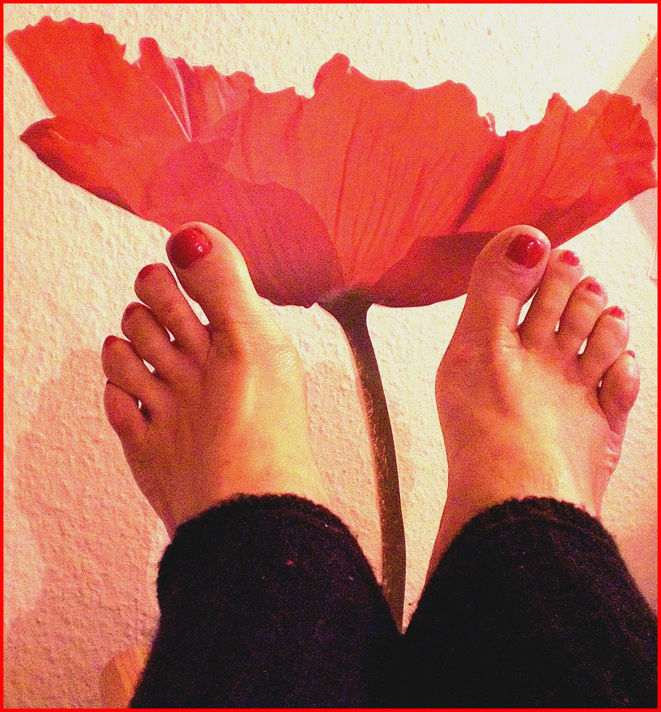Pieds voluptueux et rouge floral lascif.  Voluptuous feet and lascivious floral.  Cadeau  /  Gift .