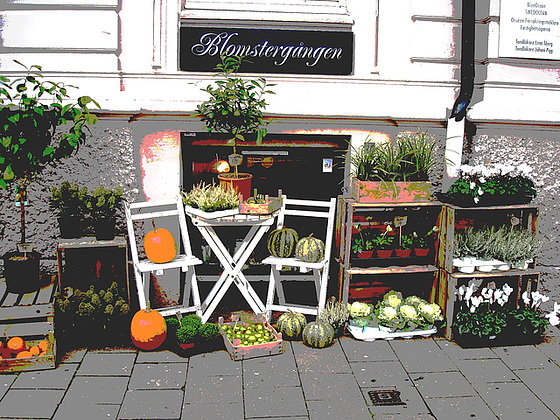Délice visuel d'un trottoir Blomsterganten /  Blomsterganten sidewalk display  -   Helsingborg / Suède - Sweden.  22 octobre 2008 - Postérisée