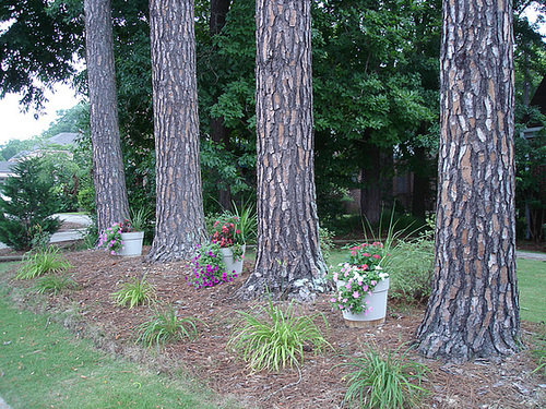 Jardin aux 4 arbres /4 trees garden - Hamilton, Alabama. USA - 10 juillet 2010