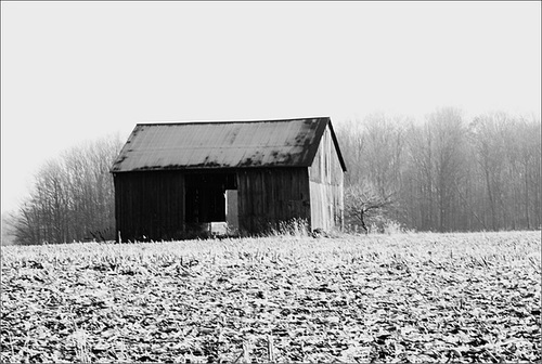 There's Something About an Isolated Barn