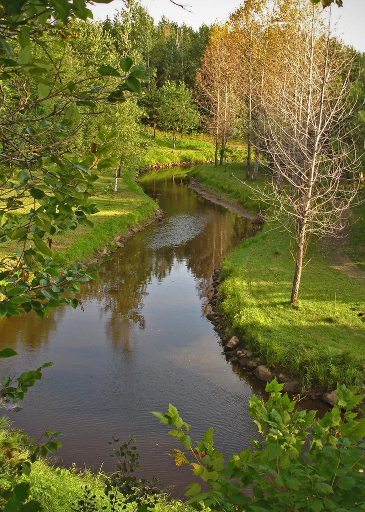 La petite rivière au bas de la colline  /   The little river down by the hill.  Solitude Ste-Françoise /  Ste-Françoise de Lotbinière, Québec CANADA.