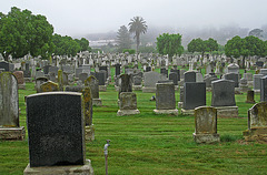 Salem Cemetery (1231)