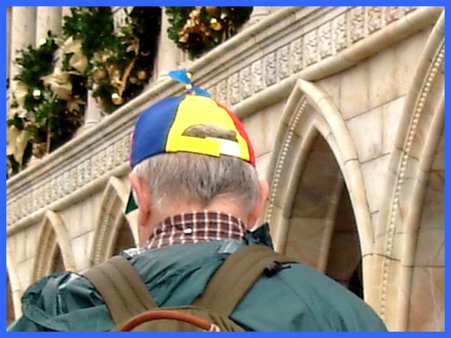 Casque à hélice / Propeller hat - Disney horror picture show - Décember 26th 2006.