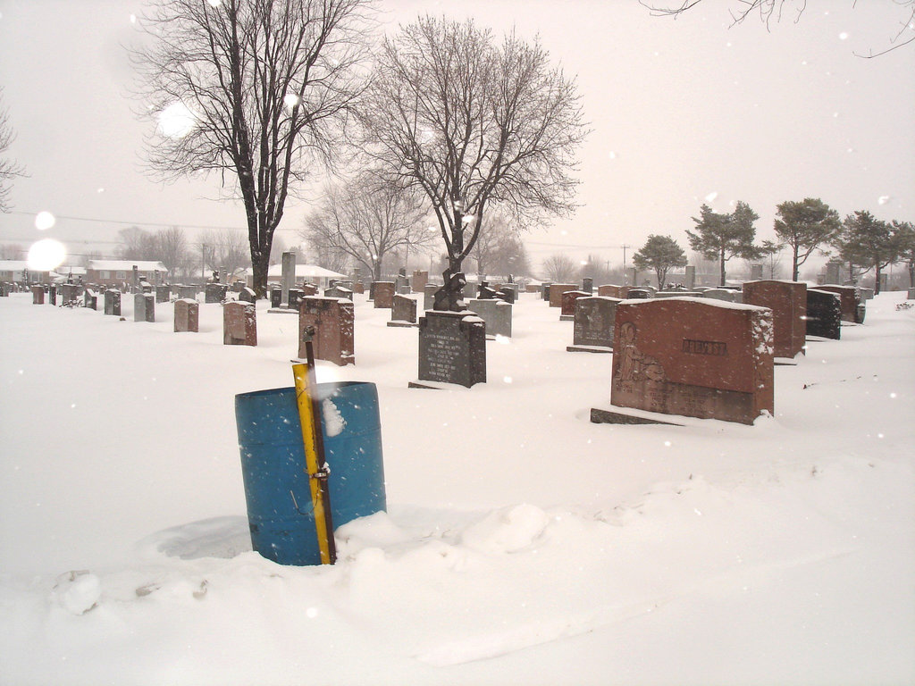 Poubelle bleue et monuments d'hiver  /   Blue trashcan and winter monuments -  Dans ma ville  /  Hometown - 18 janvier 2009.