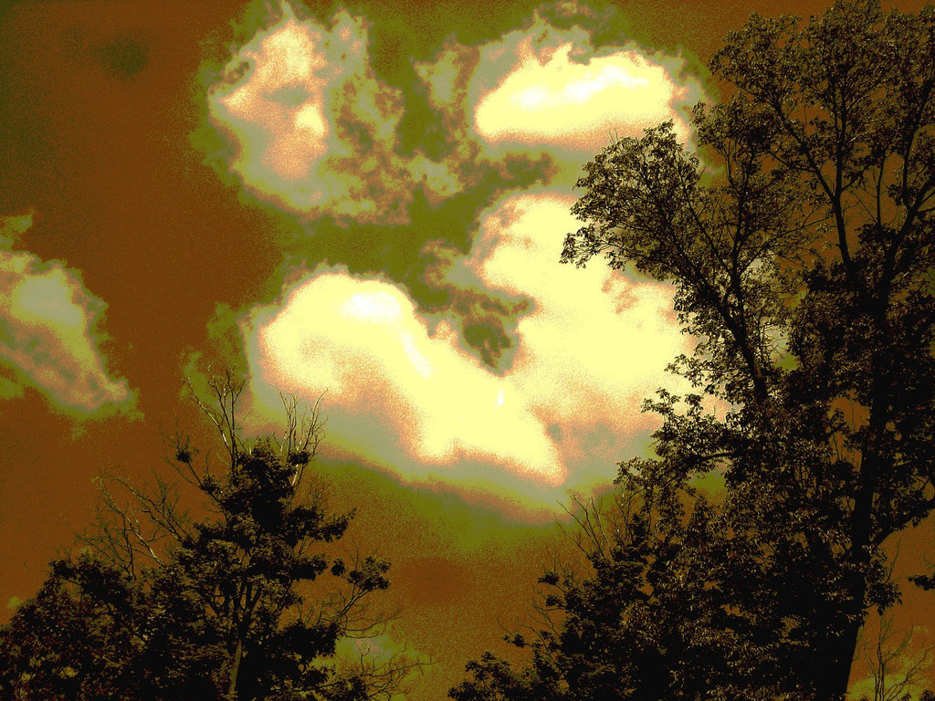 Arbres, ciel et nuages / Sky, clouds and trees - Ohio. USA. 25 juin 2010 - Sepia postérisé