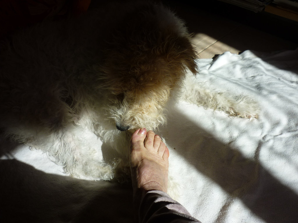 Petit lécheur de Pied / Cute Foot licker - 3 octobre 2012.